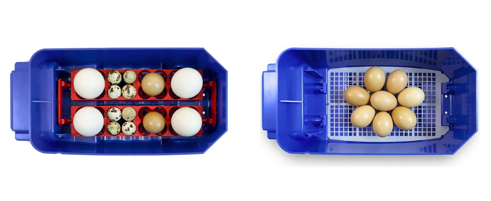 Snímka obrazovky 2024-09-24 o 15.39.00